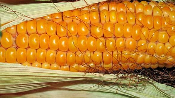 Što ne jesti na keto dijeti